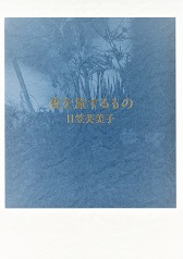夜を旅するもの