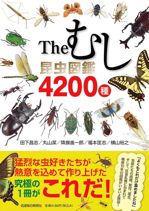 Theむし 昆虫図鑑4200種 – 丸善ジュンク堂書店ネットストア