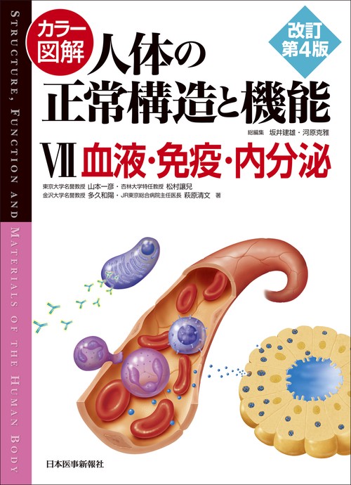 カラー図解 人体の正常構造と機能〈7〉血液・免疫・内分泌