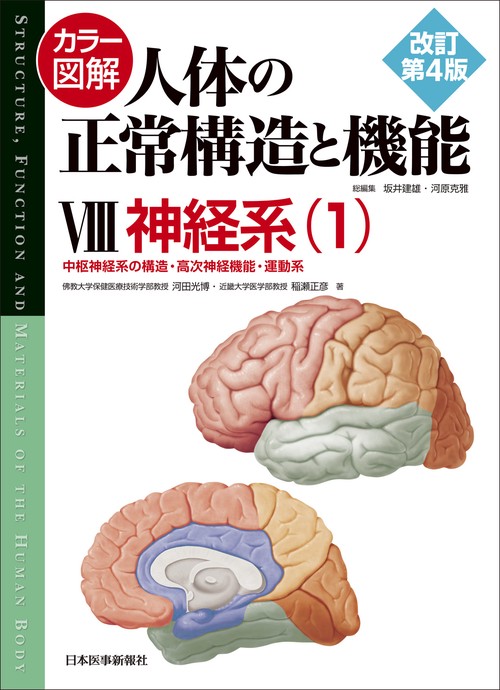 カラー図解 人体の正常構造と機能〈8〉神経系（1）