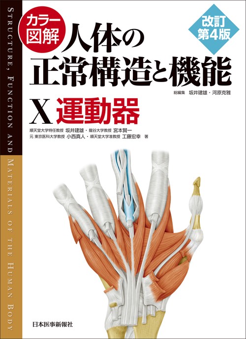 カラー図解 人体の正常構造と機能〈10〉運動器