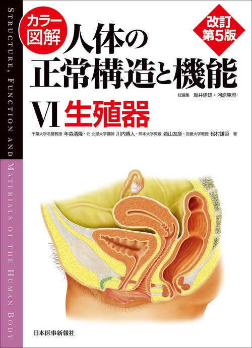 カラー図解 人体の正常構造と機能　第6巻　生殖器 【改訂第5版】