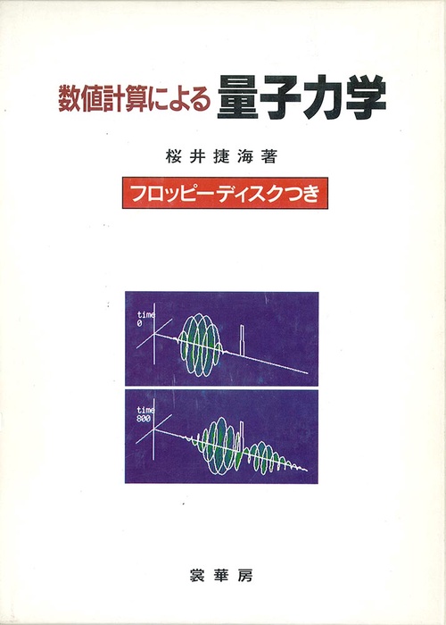 数値計算による量子力学