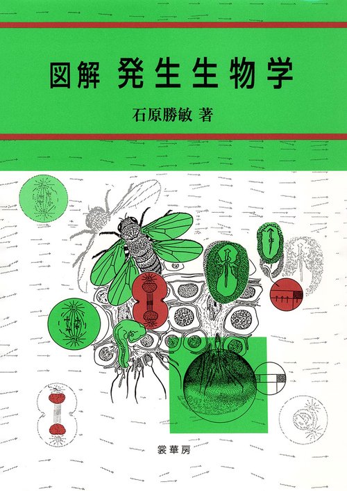 図解発生生物学