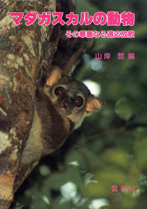 マダガスカルの動物