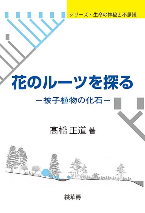 花のルーツを探る 被子植物の化石