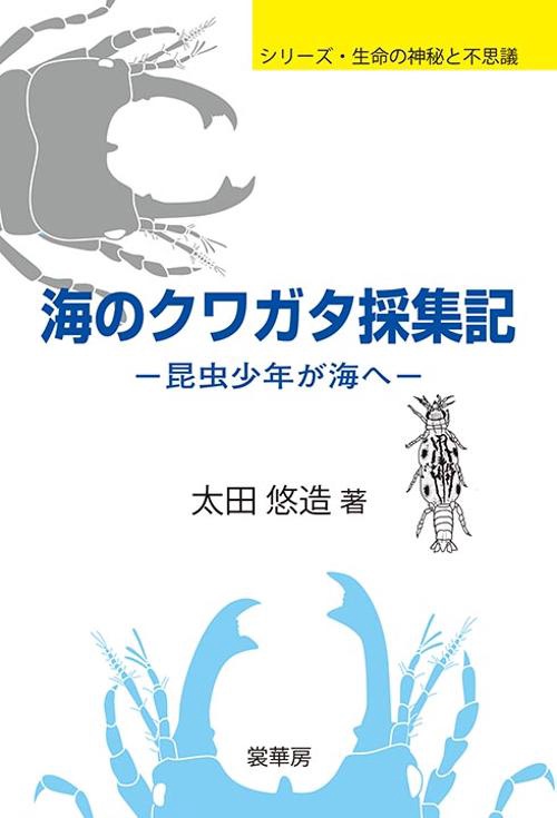 海のクワガタ採集記 昆虫少年が海へ