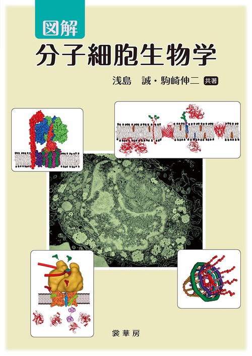 図解　分子細胞生物学