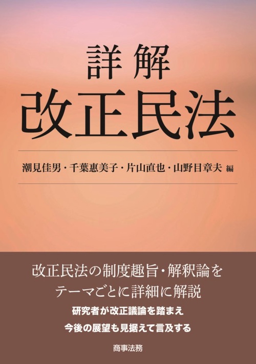 詳解改正民法