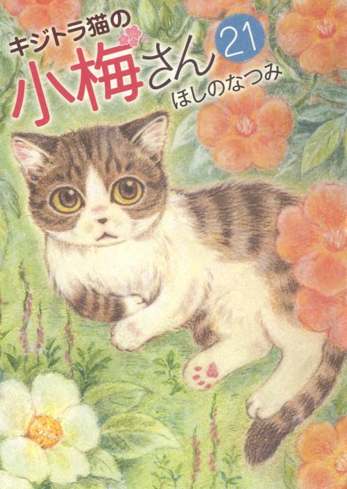キジトラ猫の小梅さん　21