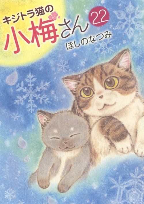 キジトラ猫の小梅さん　22
