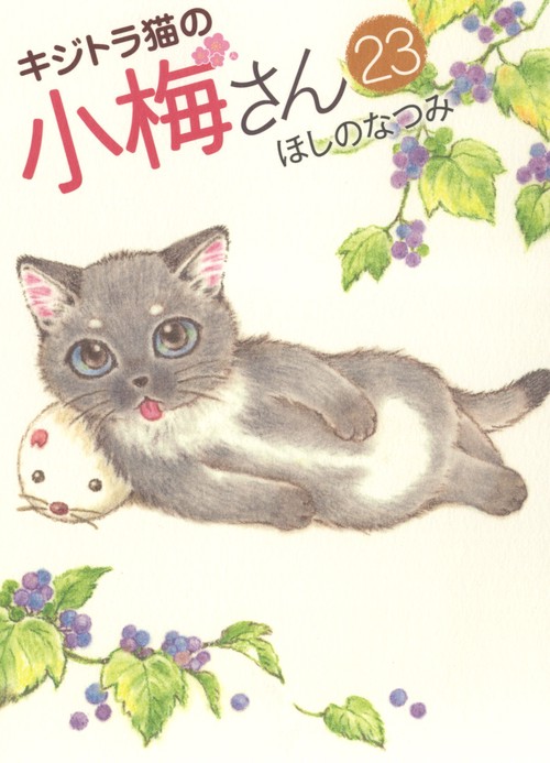 キジトラ猫の小梅さん　23
