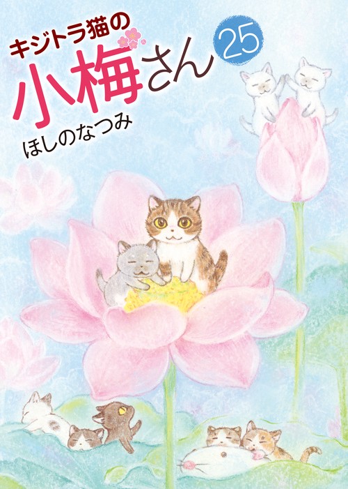キジトラ猫の小梅さん　25