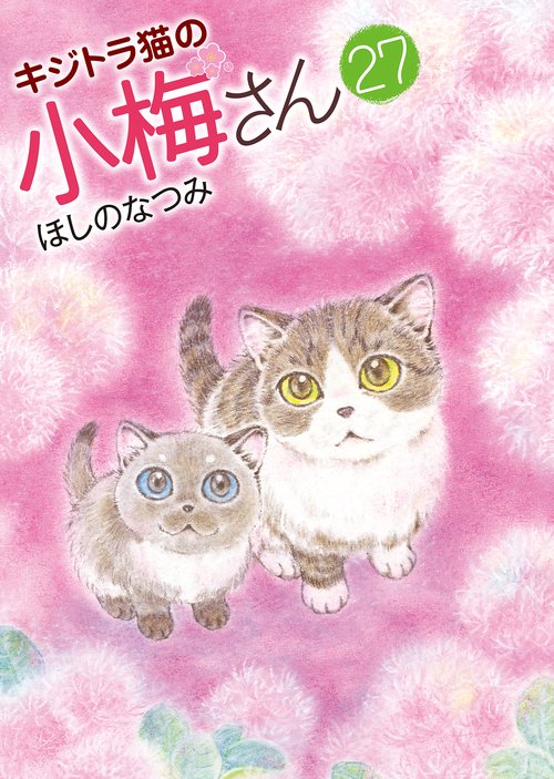 キジトラ猫の小梅さん　27