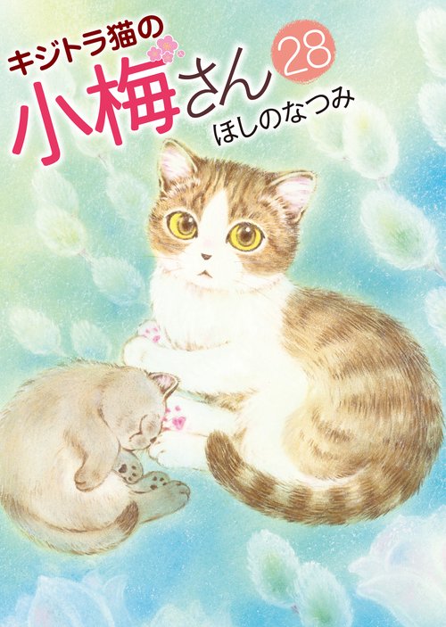 キジトラ猫の小梅さん　28