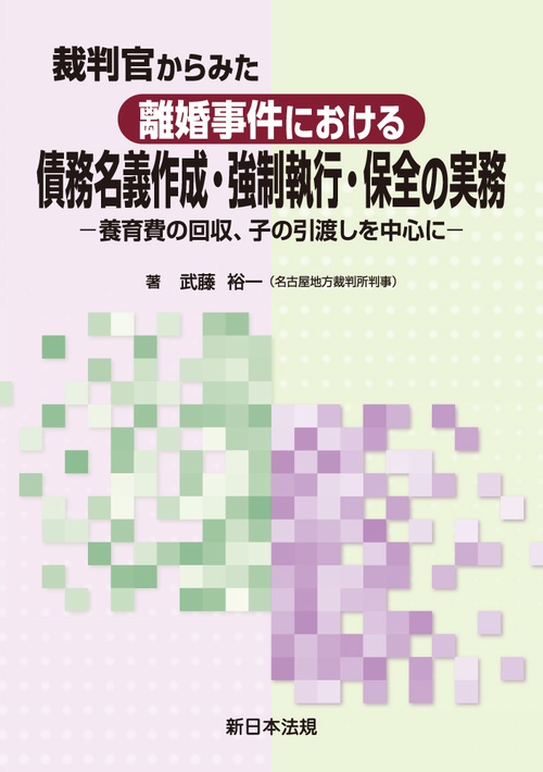 裁判官からみた　離婚事件における 債務名義作成・強制執行・保全の実務養育費の回収、子の引渡しを中心に