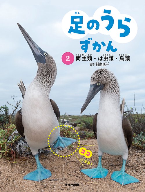 足のうらずかん　２　両生類・は虫類・鳥類