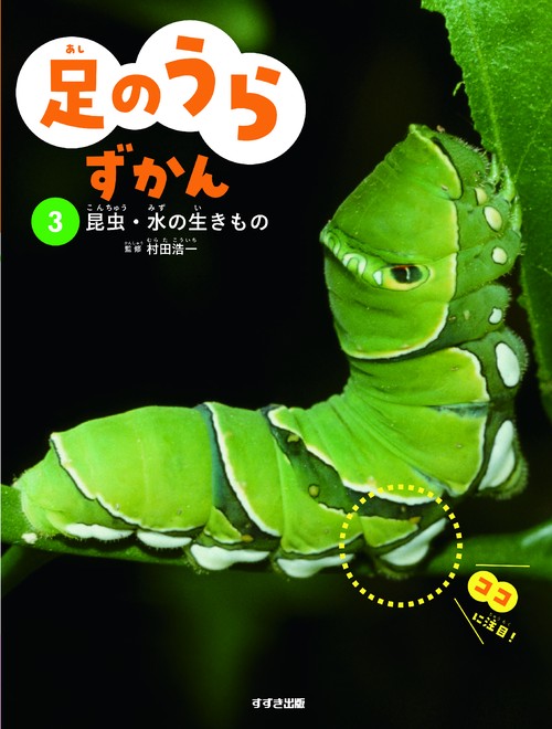 足のうらずかん　3 昆虫・水の生きもの