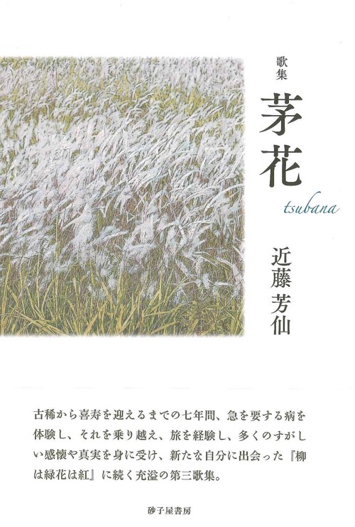 茅花