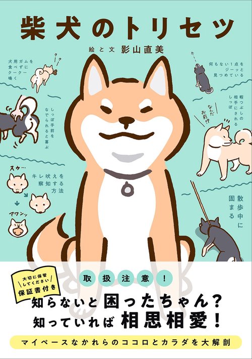 柴犬のトリセツ