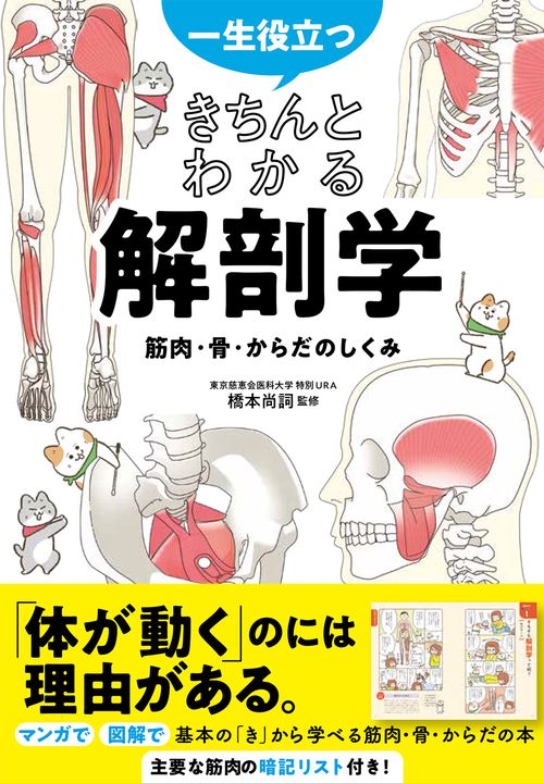 一生役立つ　 きちんとわかる解剖学　筋肉・骨・からだのしくみ