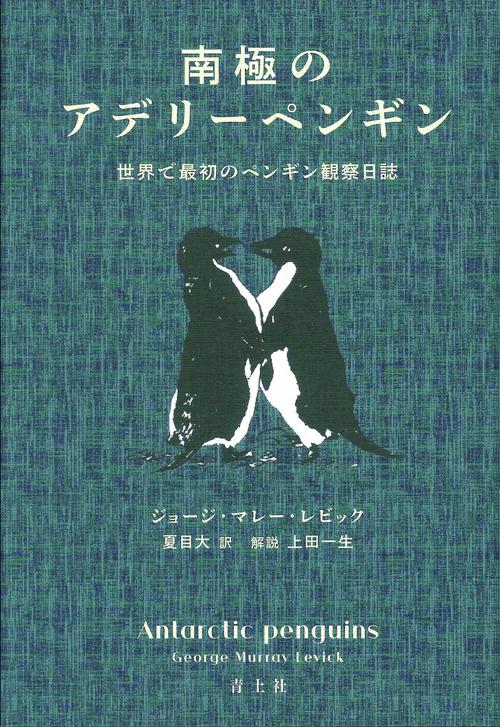 南極のアデリーペンギン