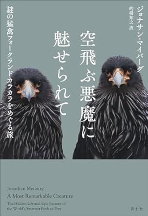 空飛ぶ悪魔に魅せられて