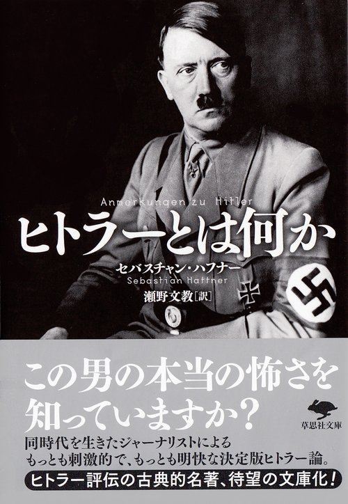 文庫　ヒトラーとは何か