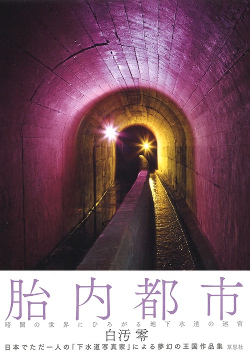 胎内都市 暗闇の世界にひろがる地下水道の迷宮