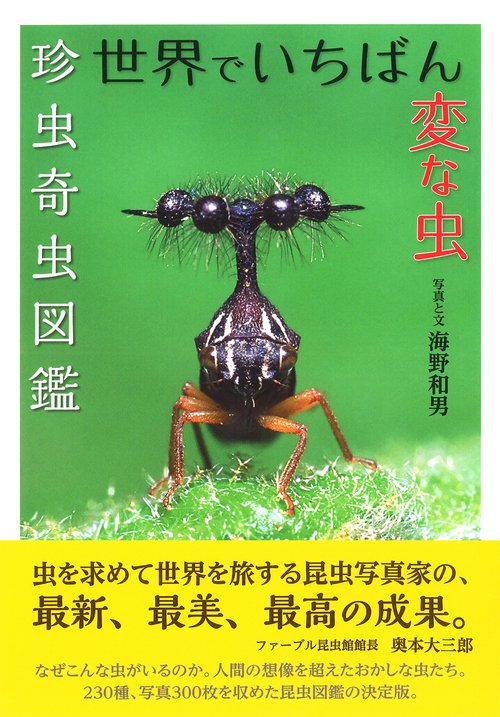 世界でいちばん変な虫