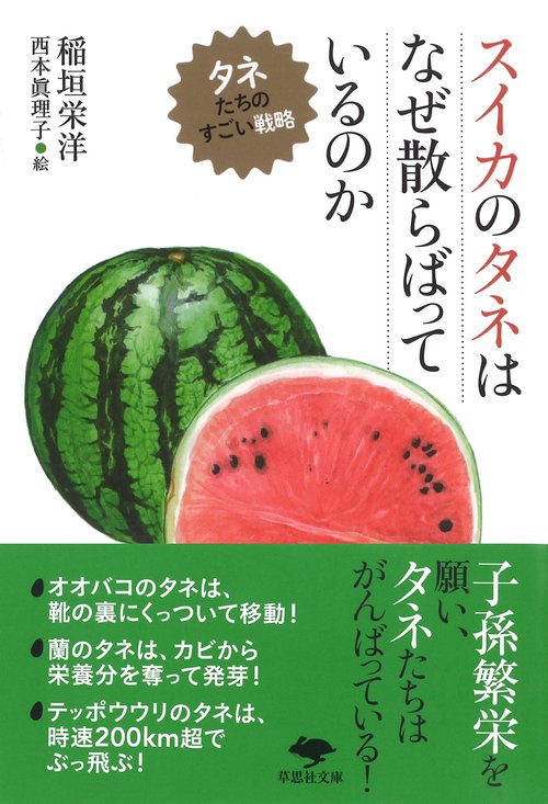 文庫　スイカのタネはなぜ散らばっているのか