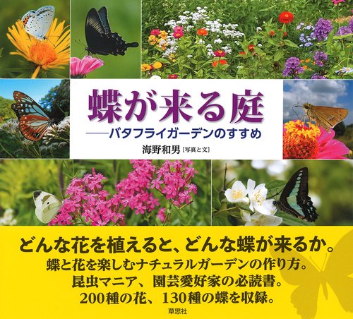蝶が来る庭