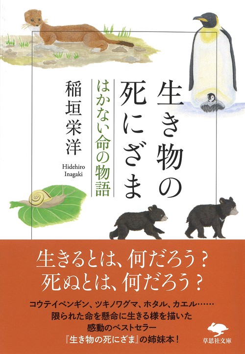 文庫　生き物の死にざま　はかない命の物語