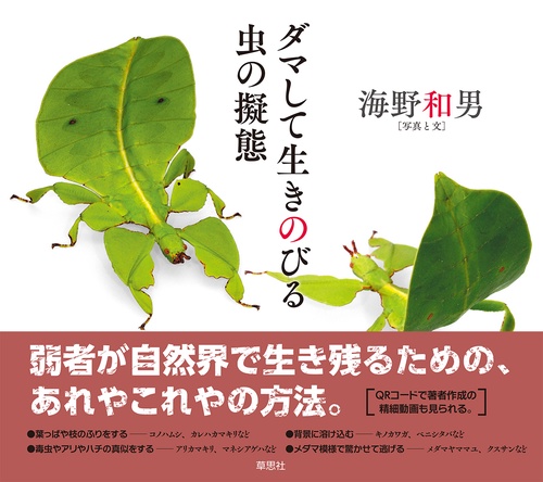 ダマして生きのびる　虫の擬態