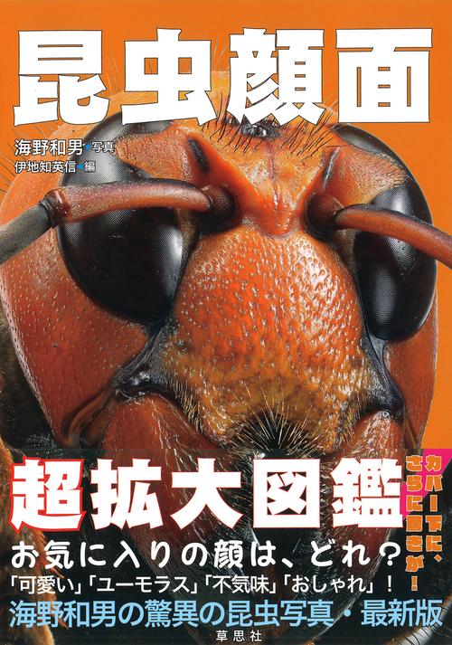 昆虫顔面 超拡大図鑑