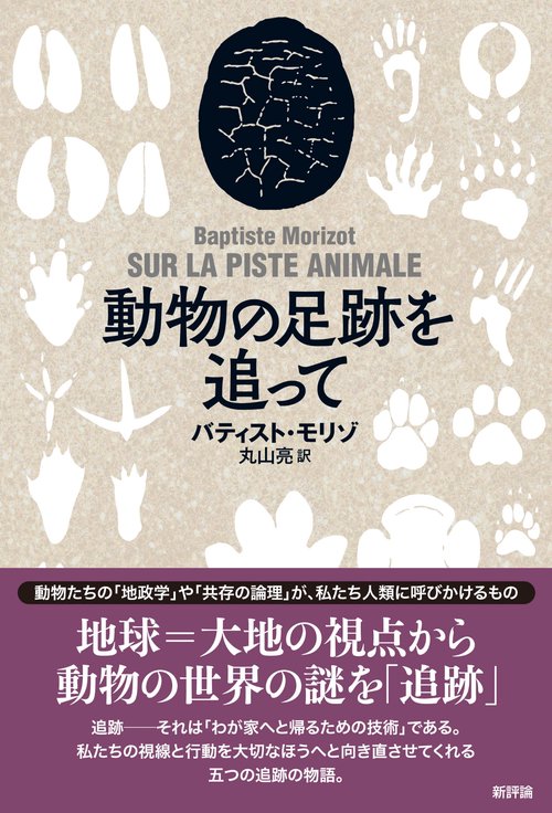 動物の足跡を追って