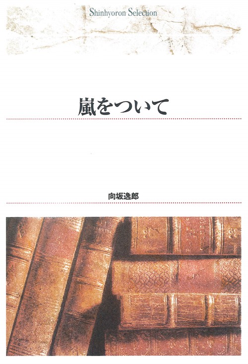 嵐をついて
