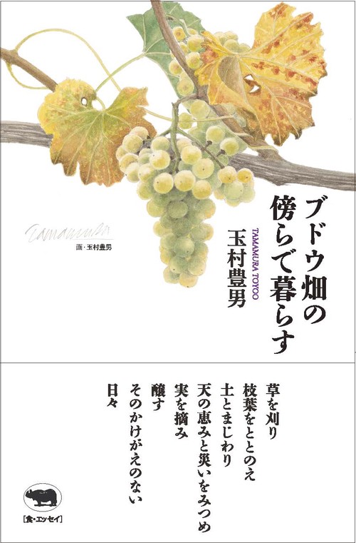 ブドウ畑の傍らで暮らす