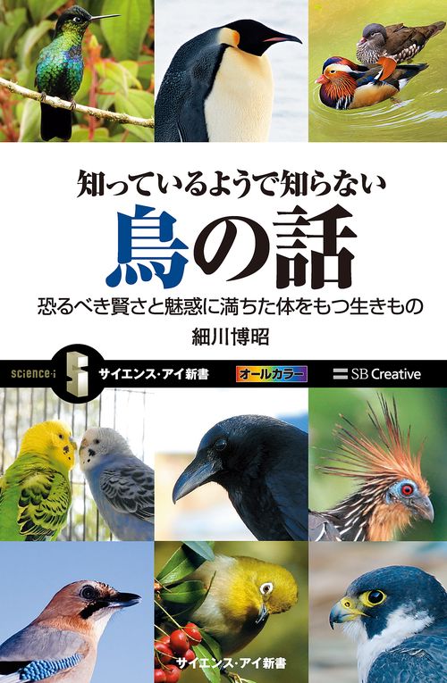 知っているようで知らない鳥の話 恐るべき賢さと魅惑に満ちた体をもつ生きもの