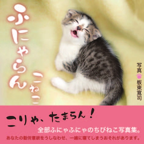 ふにゃらんこねこ