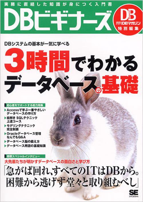 DBビキナーズ