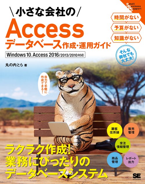 小さな会社のAccessデータベース作成・運用ガイド 自力で手軽に作成できる!