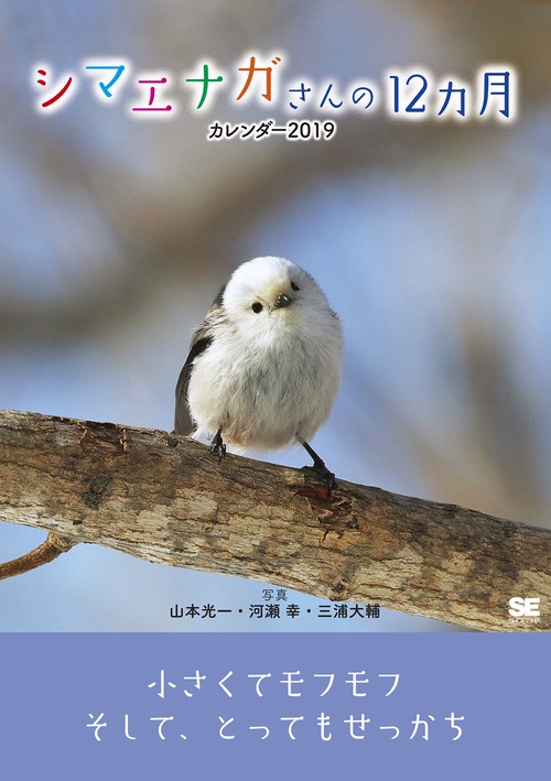 カレンダー '19 シマエナガさんの12