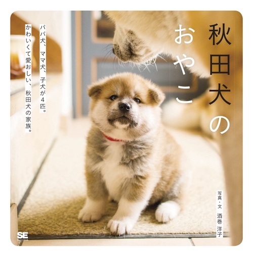秋田犬のおやこ パパ犬、ママ犬、子犬が4匹。かわいくて愛おしい、秋田犬の家族。