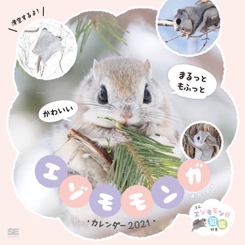 まるっともふっと かわいいエゾモモンガカレンダー 2021