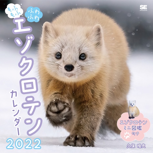 もふもふふわふわエゾクロテン カレンダー 2022