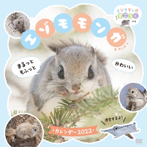 まるっともふっと かわいいエゾモモンガ カレンダー 2022