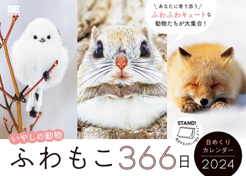 ふわもこ366日いやしの動物 日めくりカレンダー 2024