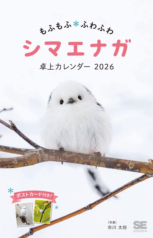 もふもふふわふわシマエナガ 卓上カレンダー 2026 ポストカード付き