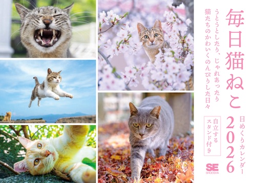 毎日猫ねこ 日めくりカレンダー 2026